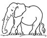 slon - pragozd - pobarvanka