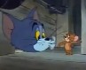 Tom in Jerry - risanka Tom in Jerry