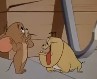 Tom & Jerry - risanka Tom & Jerry