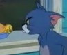 Tom & Jerry - risanka Tom & Jerry